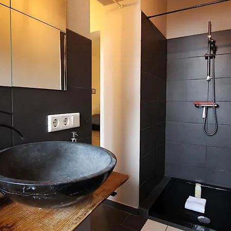 Apartmán Lichtdurchflutetes Altbaustudio - Zentrum 600m