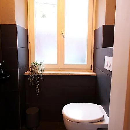 Apartmán Lichtdurchflutetes Altbaustudio - Zentrum 600m Würzburg
